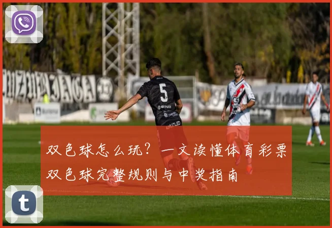 双色球怎么玩？一文读懂体育彩票双色球完整规则与中奖指南